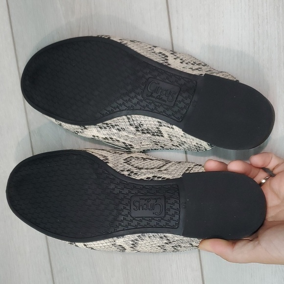 Circus by Sam Edelman Womens Hal Animal Snake Print mules shoes sz 9.5M - Picture 11 of 13